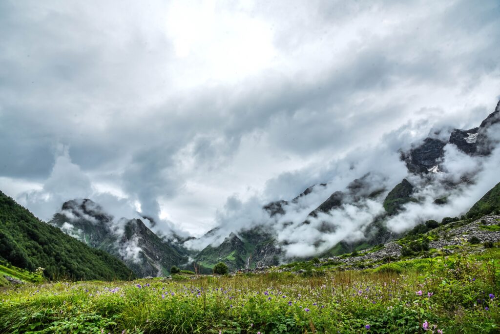 Himalayan Valley of flower trek Uttarakhand